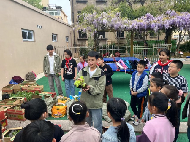 中草药2.jpg